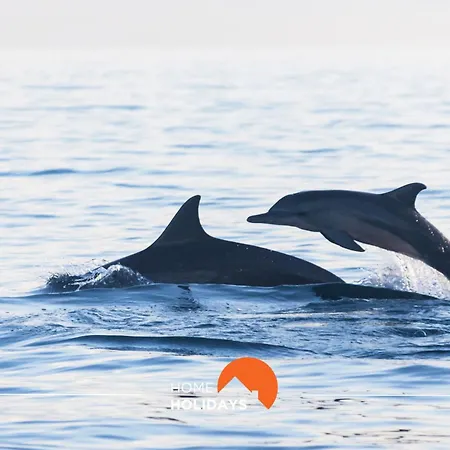 Appartement #051 Areias Sao Joao By Holidays *